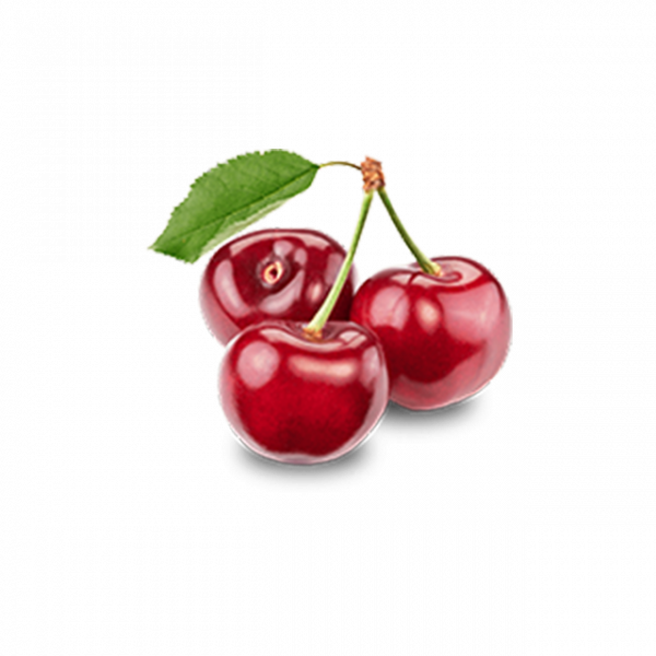 Branch Apple - Image 3