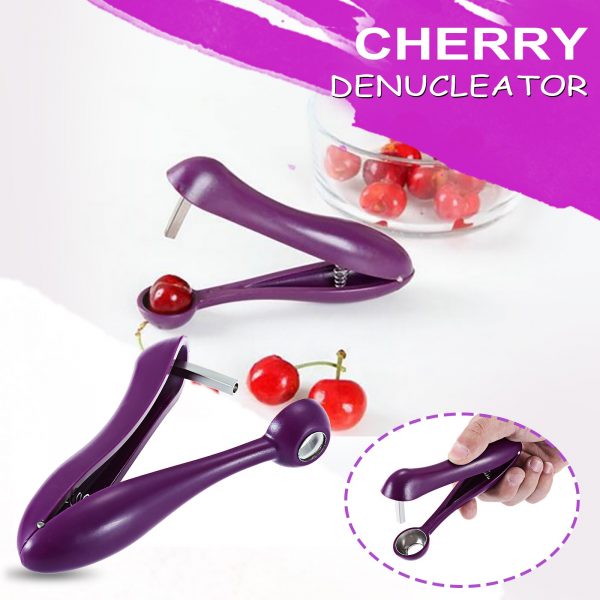 Fruit Kitchen Pitter Remover - Image 2