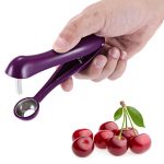 Fruit Kitchen Pitter Remover