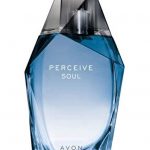 Perfume For Men 100 Ml