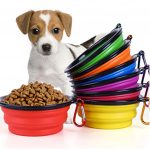 Pet Foldable Food Bowl
