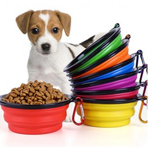 Pet Foldable Food Bowl