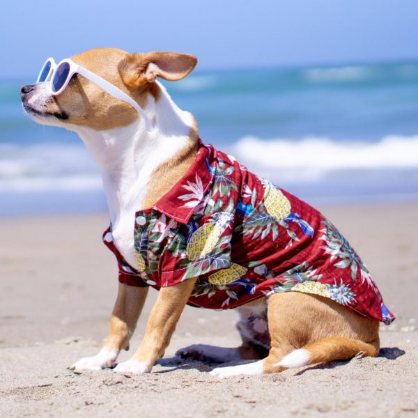 Dog Shirts Clothes - Image 3